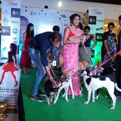 PET SHOW DLF SAKET